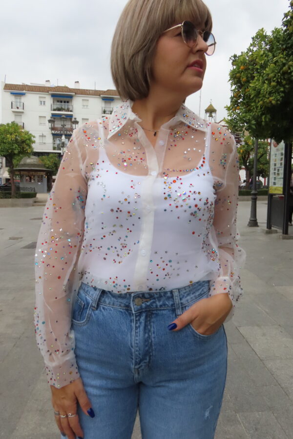 Camisa transparecias.