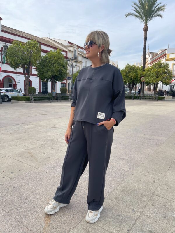 Conjunto Easy Style gris. - Imagen 2