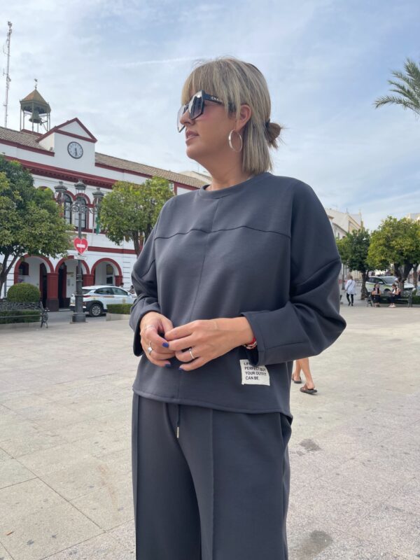 Conjunto Easy Style gris. - Imagen 3