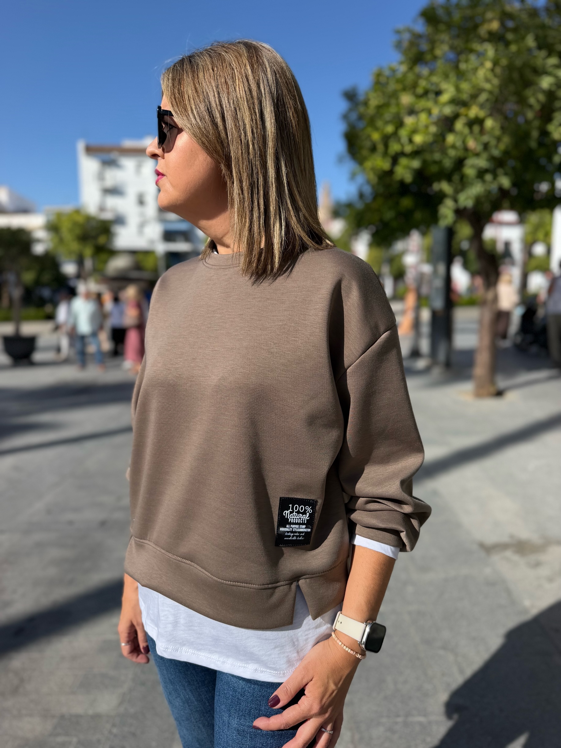 Sudadera Boston taupe. - Imagen 2