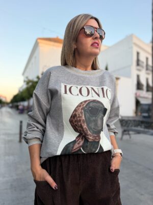 Sudadera Iconic gris.