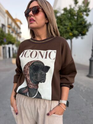 Sudadera Iconic chocolate.